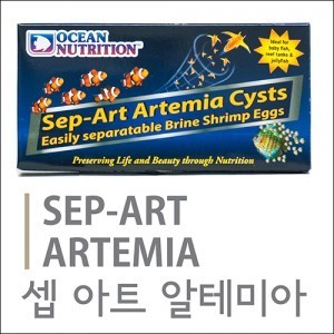 sep-art artemia 셉아트 알테미아